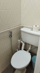 Elizabeth Tower (D9), Apartment #585520971
